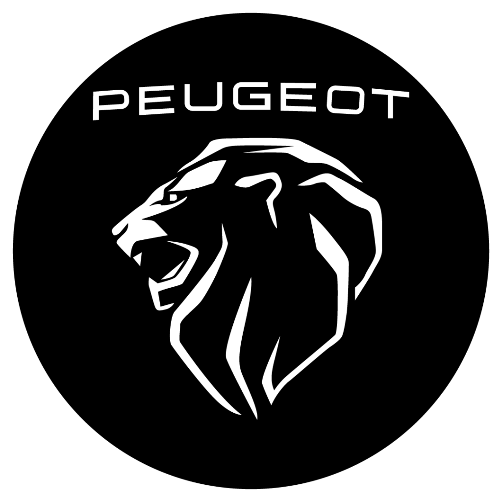 Peugeot Araç Anahtarı