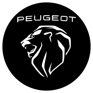 Peugeot Araç Anahtarı